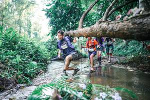 BIB: 
                            <button type="button" onclick="openModal(25451915)" class="btn btn-primary btn-sm float-right btn-popup" data-toggle="modal" data-target=".modal-high-quality">
                        <i class="fas fa-shopping-cart"></i> Add to Cart
                    </button>
                                            <button type="button" onclick="isThisMe(25451915, true)" class="btn btn-success btn-sm float-right btn-popup btn-isme hidden" data-toggle="tooltip" data-placement="bottom" title="นี่คือรูปของคุณใช่ไหม คลิกที่นี่เพื่อเอาเข้าอัลบั้ม">
                        <i class="fas fa-plus"></i> Add to album
                    </button>
                    <button type="button" onclick="isThisMe(25451915, false)" class="btn btn-warning btn-sm float-right btn-popup btn-isnotme hidden">
                        <i class="fas fa-ban"></i> Remove from album
                    </button>